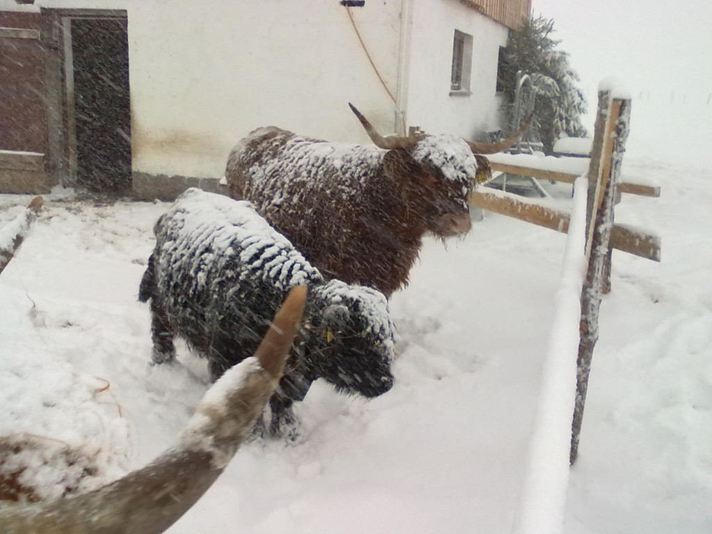 winter 028_jpg-1290779963