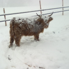 winter 030_jpg-1290779969