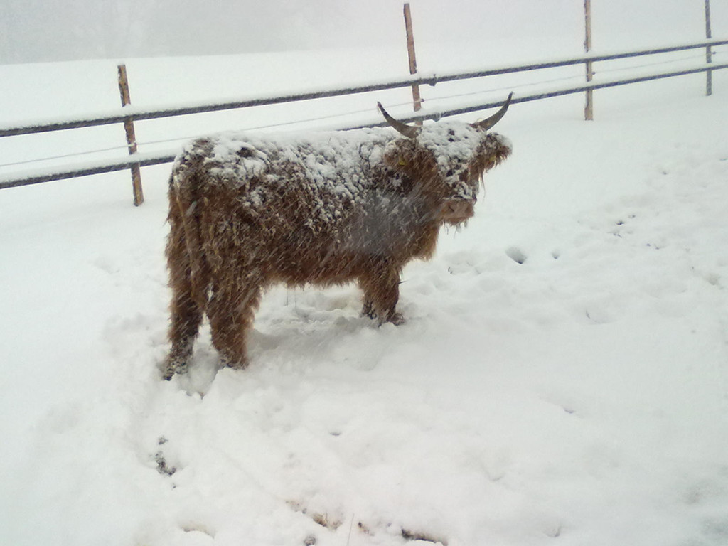 winter 030_jpg-1290779969