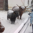 winter 033_jpg-1290779979