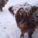 winter 035_jpg-1290779986