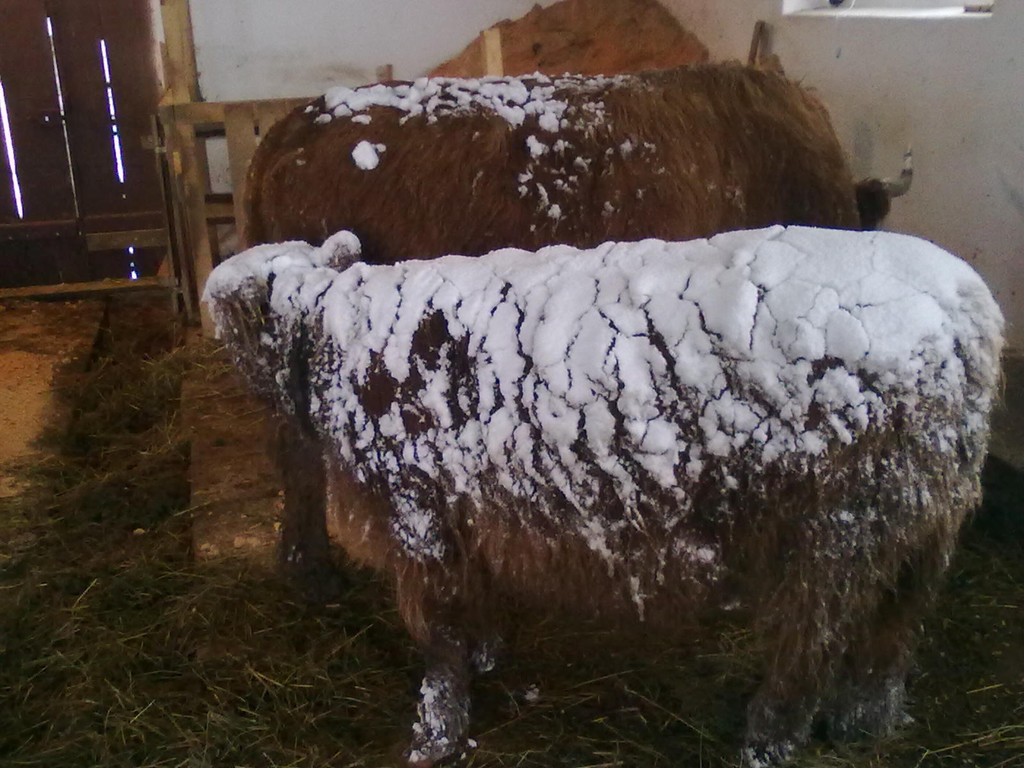 winter 042_jpg-1290780012