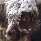 winter 045_jpg-1290780021