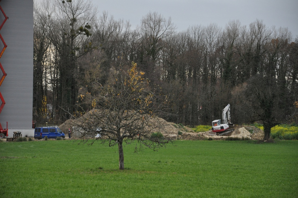 DSC_0041.JPG