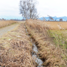 Wasser für Streuewiesen und Beobachtungs-Plattform