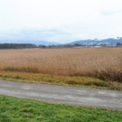 Ried 26_11_2010 2_jpg-1290787216