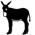 burro catalan.jpg