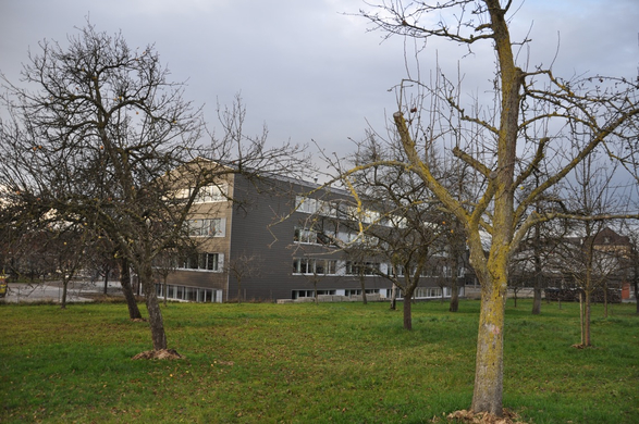 DSC_0036.JPG