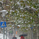 26112010schneesbgwm2aktivnews_17.JPG