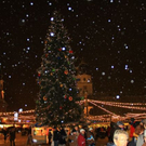 normal_26112010christkindlmarktMWAKTIVEWS_16.jpg