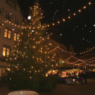 SH106325_JPG-1290848992