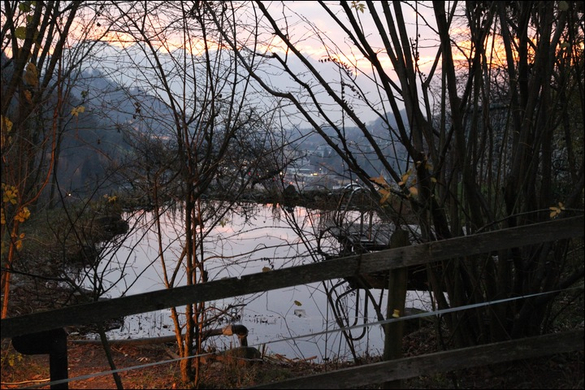 BK_Amberg-Krippen _6_.jpg