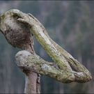 BK_Amberg-Krippen _18_.jpg