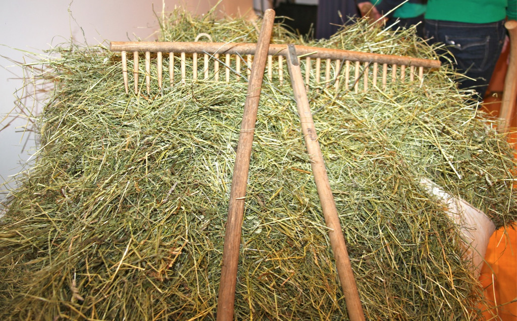 KOE_Heugabel Abschlussfest 5_jpg-1290871016