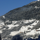 141_bearbeitet-1_jpg-1290871906