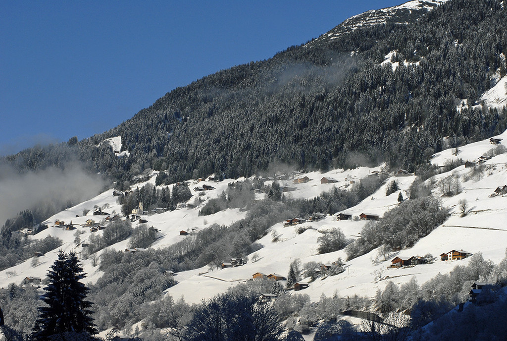 141_bearbeitet-1_jpg-1290871906