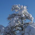 DSC00812.JPG