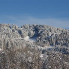DSC00841.JPG