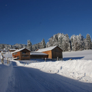 DSC00847.JPG