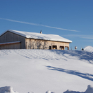 DSC00857.JPG