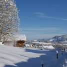 DSC00867.JPG