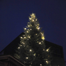 DSC_0005.JPG