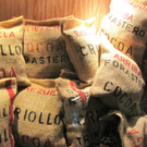 KOE_Ausflug ins Schoggiland 13_jpg-1290884624