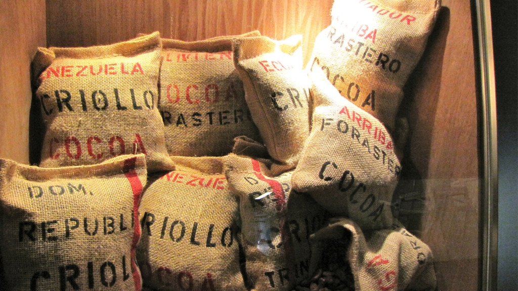 KOE_Ausflug ins Schoggiland 13_jpg-1290884624