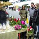 Bild 027_jpg-1290898091