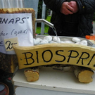 Bild 046_jpg-1290898103