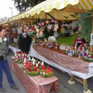 Bild 052_jpg-1290898111