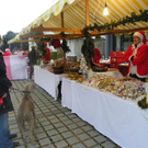 Bild 058_jpg-1290898122
