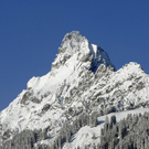 082_bearbeitet-1_jpg-1290922961