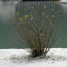 352_bearbeitet-1_jpg-1290923379