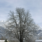 361_bearbeitet-1_jpg-1290923470