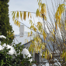 395_bearbeitet-1_jpg-1290923871