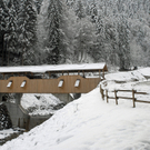 427_bearbeitet-1_jpg-1290924390