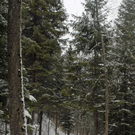 011_bearbeitet-1_jpg-1290924897