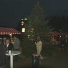 SH106373_JPG-1290931576