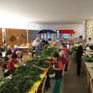 Pfarre Adventkranzbinden 2010 _18__jpg-1290941512