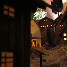 IMG_0229_JPG-1290942934.jpg