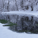 DSC02873.JPG