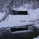 DSC02874.JPG