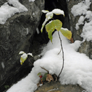158_bearbeitet-1_jpg-1290963746