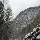 239_bearbeitet-1_jpg-1290963919