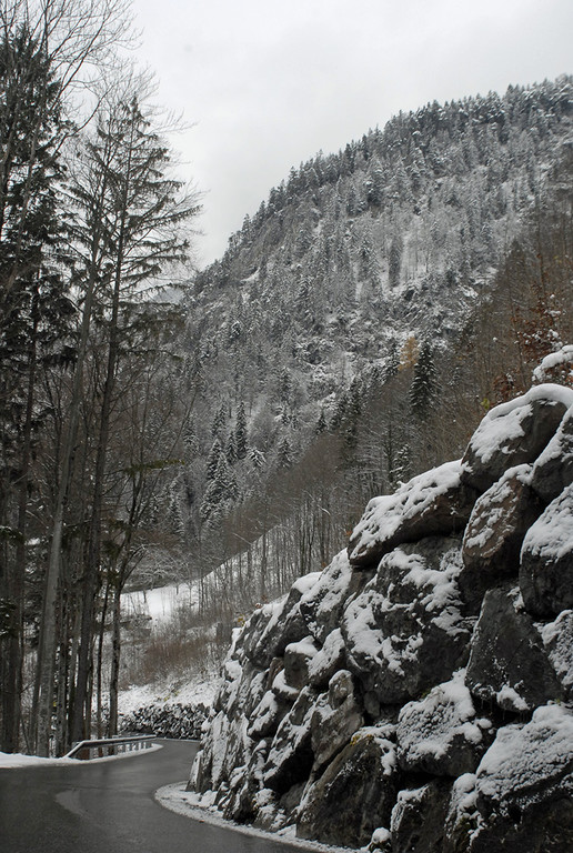 239_bearbeitet-1_jpg-1290963919