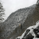 240_bearbeitet-1_jpg-1290963956
