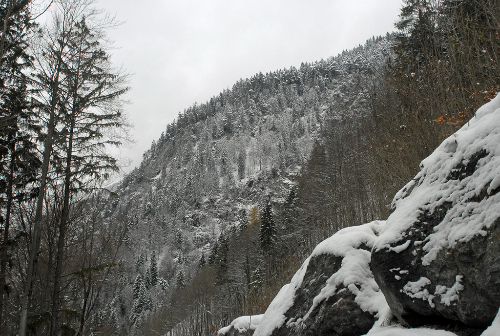 240_bearbeitet-1_jpg-1290963956