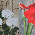wibmer_blumen01_jpg-1290970520