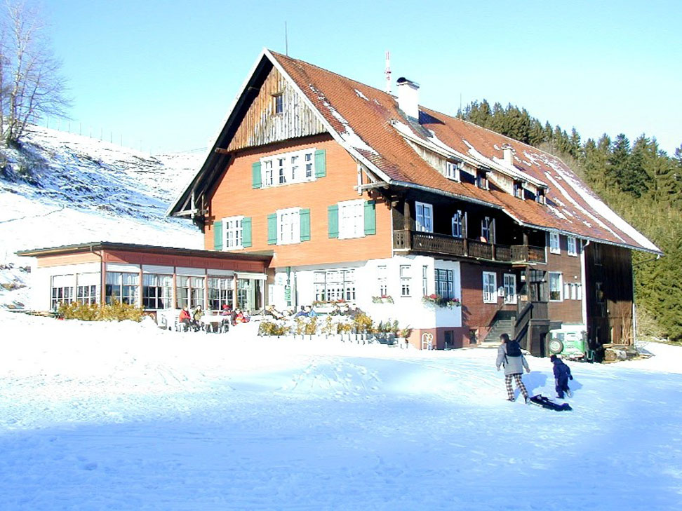 Dohle im Winter_jpg-1290971552
